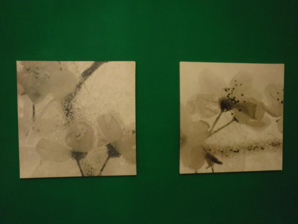 Ares Rooms 罗马 客房 照片